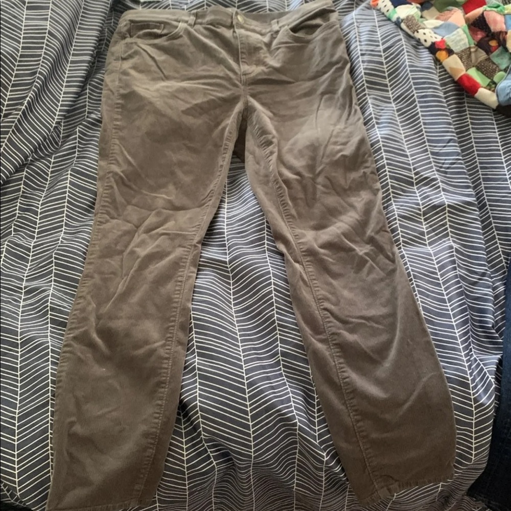 LOFT Modern Skinny Cords 31